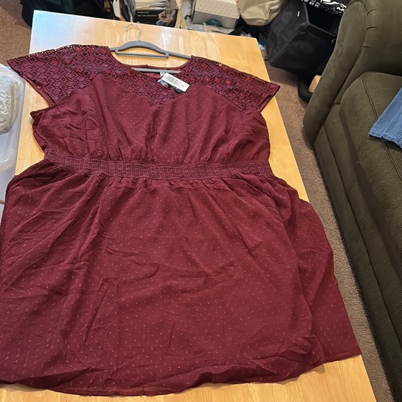 Mini Clip Dot Crochet Lace Skater Dress - Picture 6 of 7